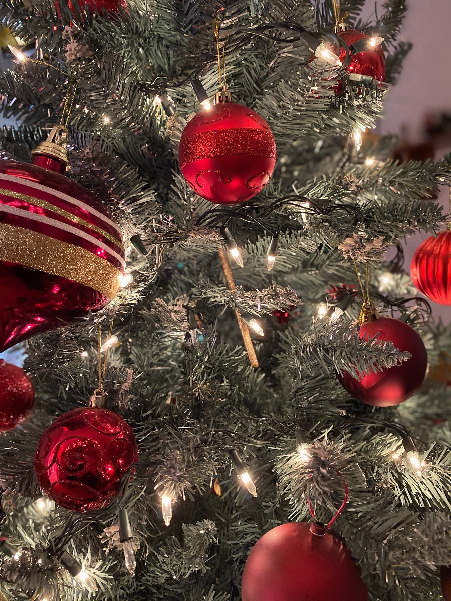 ornament gray Christmas tree and red baubles plant